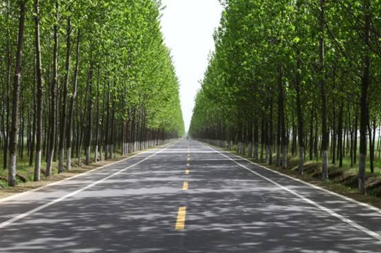 公路、绿化、广场工程